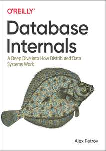 DATABASE INTERNALS - ALEX PETROV