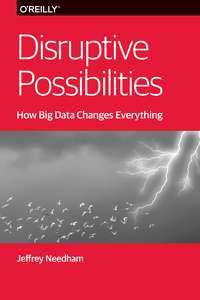 DISRUPTIVE POSSIBILITIES - JEFFREY NEEDHAM