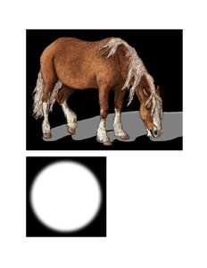 LINUX POCKET GUIDE 4TH ED - DANIEL J BARRETT