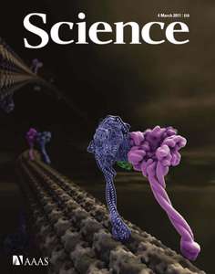 SCIENCE [VOL.331 #6021] - 2011.03.04