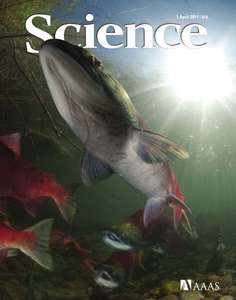 SCIENCE [VOL.331 #6025] - 2011.04.01