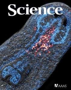 SCIENCE [VOL.332 #6031] - 2011.05.13