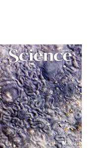 SCIENCE [VOL.333 #6038] - 2011.07.01