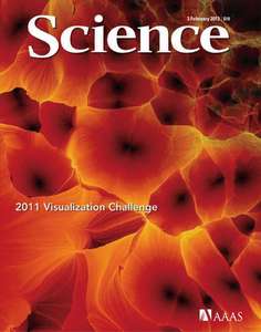 SCIENCE [VOL.335 #6068] - 2012.02.03