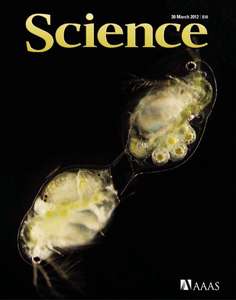 SCIENCE [VOL.335 #6076] - 2012.03.30