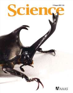 SCIENCE [VOL.337 #6096] - 2012.08.17