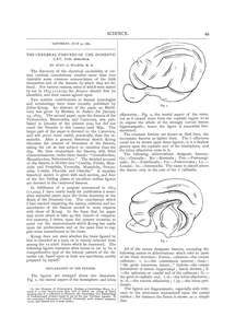 SCIENCE - 18800731 - V1.001I0005