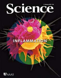 SCIENCE 2013 V339 I6116