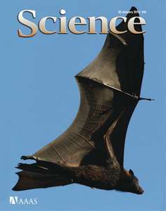 SCIENCE 2013 V339 I6118