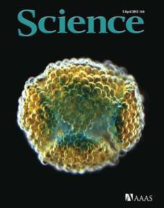 SCIENCE 2013 V340 I6128