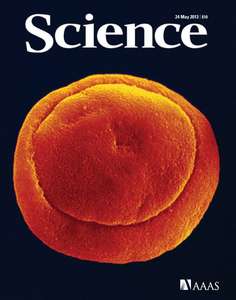 SCIENCE 2013 V340 I6135