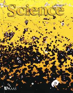 SCIENCE 2013 V340 I6138