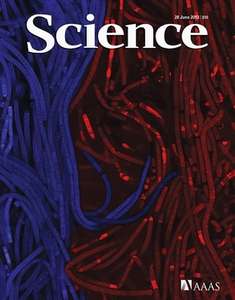 SCIENCE 2013 V340 I6140