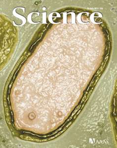 SCIENCE 2013 V341 I6143