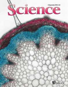 SCIENCE 2013 V341 I6150