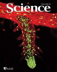 SCIENCE 2014 V343 I6167