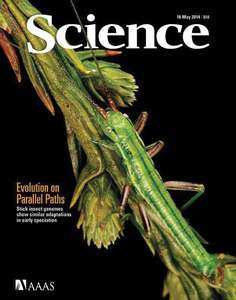 SCIENCE 2014 V344 I6185