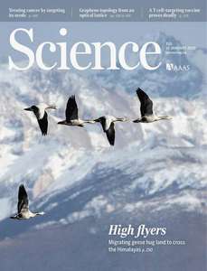 SCIENCE 2015 V347 I6219