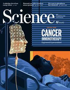 SCIENCE 2018 V359 I6382