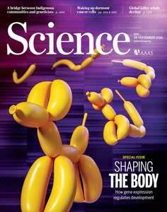 SCIENCE 2018 V361 I6409