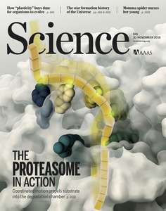 SCIENCE 2018 V362 I6418