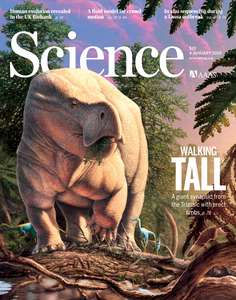 SCIENCE 2019 V363 I6422