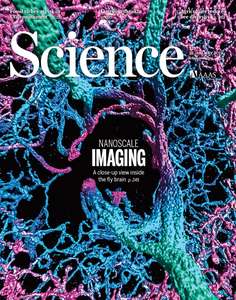 SCIENCE 2019 V363 I6424