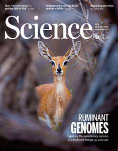 SCIENCE 2019 V364 I6446