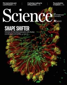 SCIENCE 2019 V366 I6463