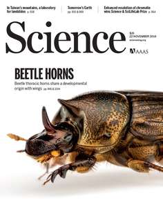 SCIENCE 2019 V366 I6468