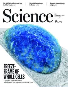 SCIENCE 2020 V367 I6475