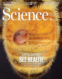 SCIENCE 2020 V367 I6477