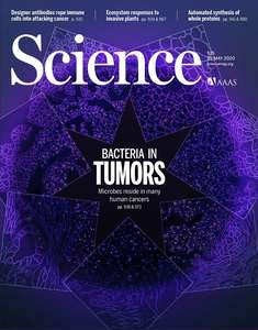 SCIENCE 2020 V368 I6494