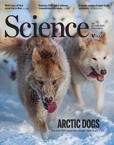 SCIENCE 2020 V368 I6498