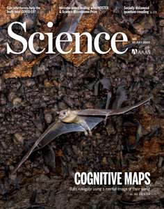 SCIENCE 2020 V369 I6500