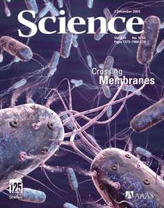 SCIENCE 5753 2005-12-02