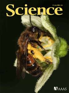 SCIENCE 5785 2006-07-21