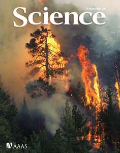 SCIENCE 5789 2006-08-18