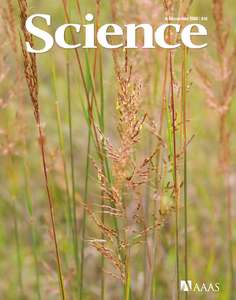 SCIENCE 5805 2006-12-08