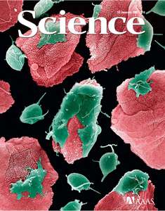 SCIENCE 5809 2007-01-12