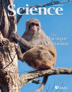 SCIENCE 5822 2007-04-13