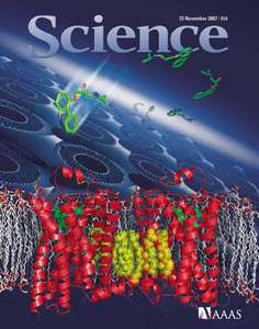 SCIENCE 5854 2007-11-23