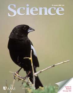 SCIENCE 5862 2008-01-25