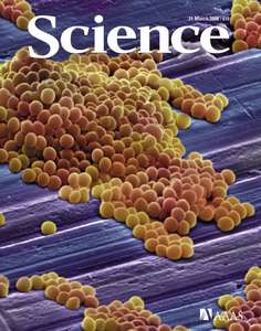 SCIENCE 5870 2008-03-21