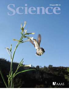 SCIENCE 5893 2008-08-29