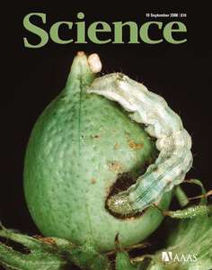 SCIENCE 5896 2008-09-19