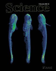 SCIENCE 5904 2008-11-14