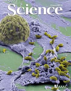 SCIENCE 5913 2009-01-23 (323)