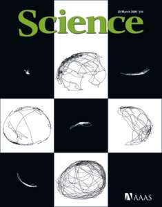 SCIENCE 5921 2009-03-20 (323)