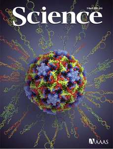 SCIENCE 5923 2009-04-03 (324)